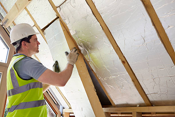 Best Insulation for New Construction  in Mobridge, SD